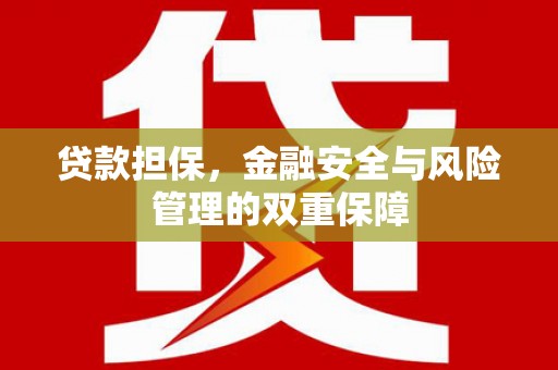 特克斯贷款担保，金融安全与风险管理的双重保障
