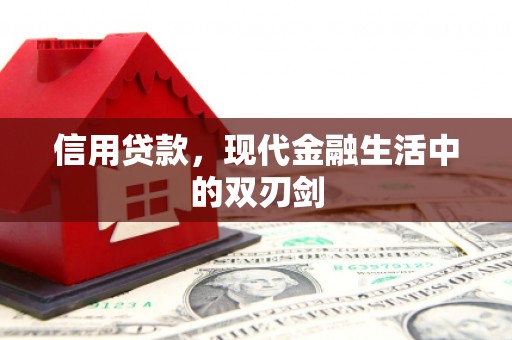 特克斯信用贷款，现代金融生活中的双刃剑