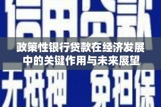 特克斯政策性银行贷款在经济发展中的关键作用与未来展望