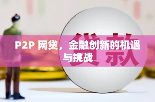 特克斯P2P 网贷，金融创新的机遇与挑战