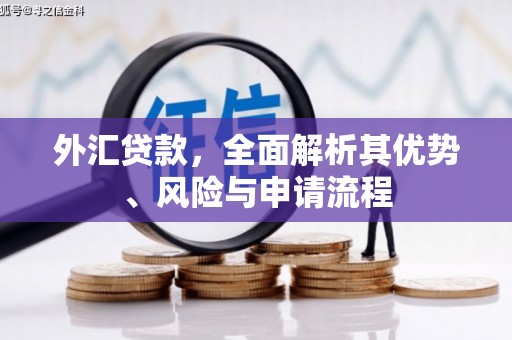 特克斯外汇贷款，全面解析其优势、风险与申请流程