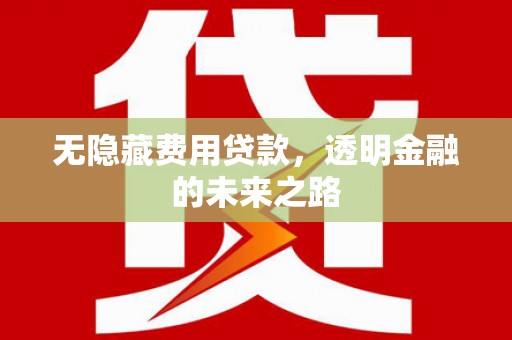 特克斯无隐藏费用贷款，透明金融的未来之路