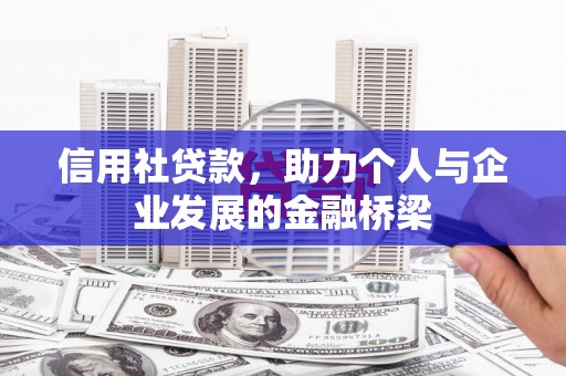 特克斯信用社贷款，助力个人与企业发展的金融桥梁