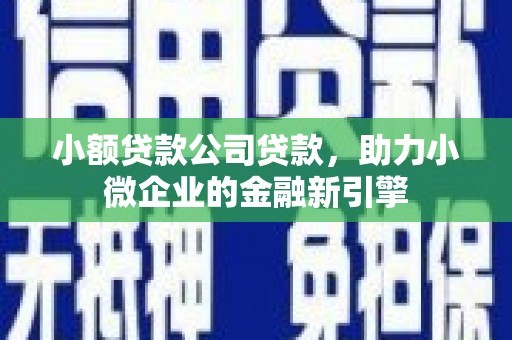 特克斯小额贷款公司贷款，助力小微企业的金融新引擎