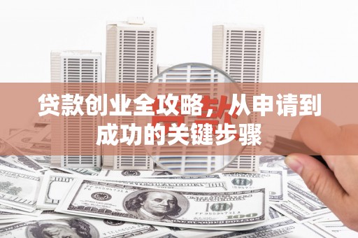 特克斯贷款创业全攻略，从申请到成功的关键步骤