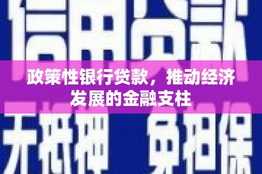 特克斯政策性银行贷款，推动经济发展的金融支柱