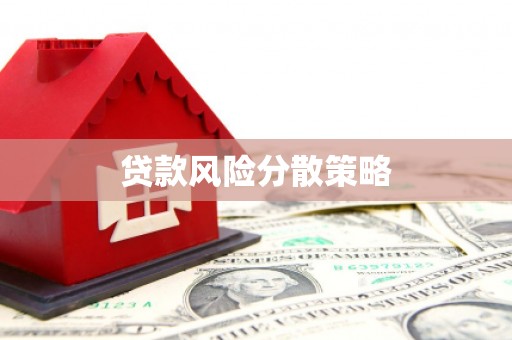 特克斯贷款风险分散策略