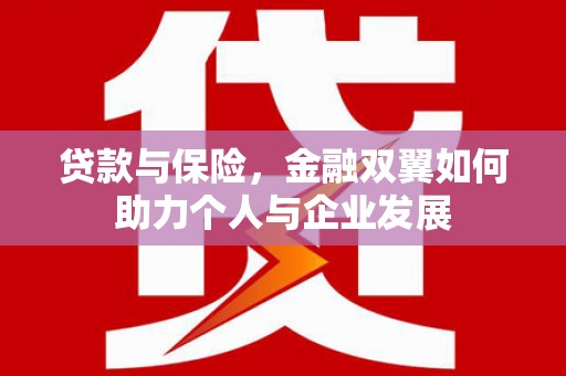 特克斯贷款与保险，金融双翼如何助力个人与企业发展