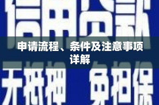 特克斯申请流程、条件及注意事项详解