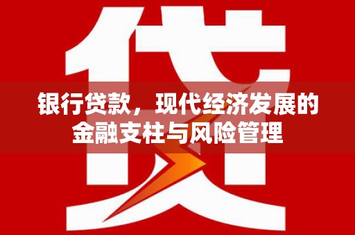 特克斯银行贷款，现代经济发展的金融支柱与风险管理