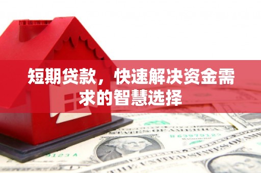 特克斯短期贷款，快速解决资金需求的智慧选择