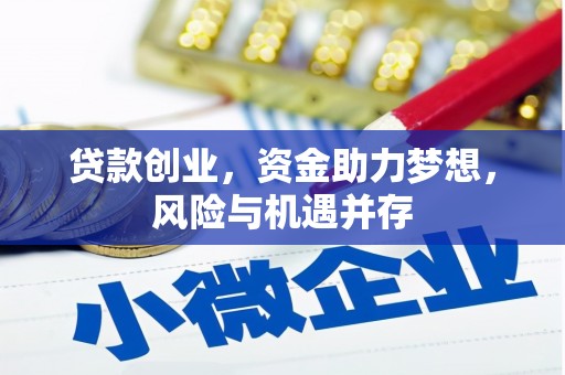 特克斯贷款创业，资金助力梦想，风险与机遇并存