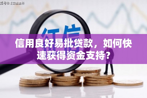 特克斯信用良好易批贷款，如何快速获得资金支持？