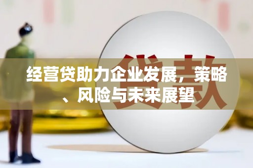 特克斯经营贷助力企业发展，策略、风险与未来展望