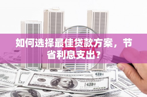 特克斯如何选择最佳贷款方案，节省利息支出？