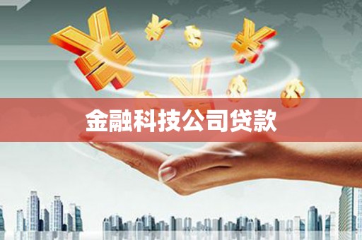 特克斯金融科技公司贷款