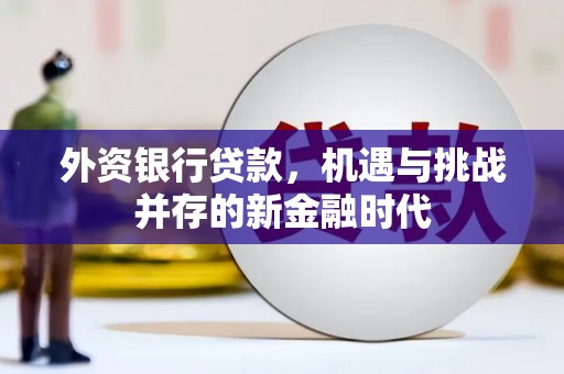 特克斯外资银行贷款，机遇与挑战并存的新金融时代