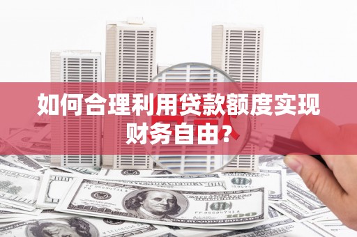 特克斯如何合理利用贷款额度实现财务自由？