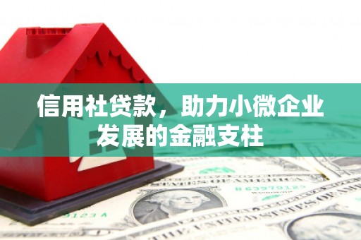 特克斯信用社贷款，助力小微企业发展的金融支柱