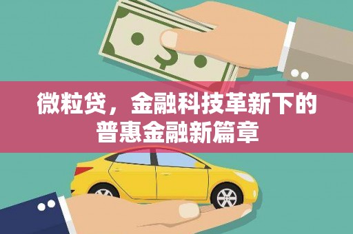 特克斯微粒贷，金融科技革新下的普惠金融新篇章