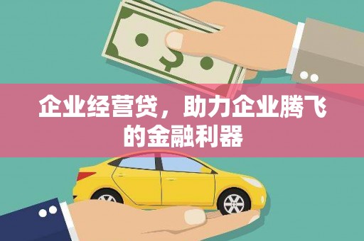 特克斯企业经营贷，助力企业腾飞的金融利器