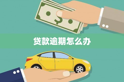 特克斯贷款逾期怎么办