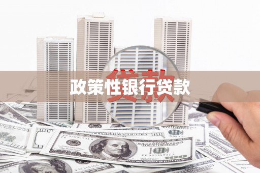 特克斯政策性银行贷款