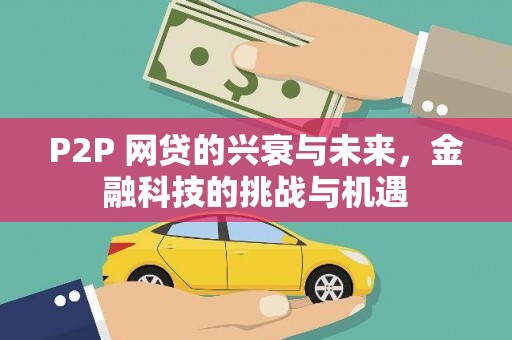 特克斯P2P 网贷的兴衰与未来，金融科技的挑战与机遇
