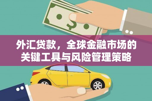 特克斯外汇贷款，全球金融市场的关键工具与风险管理策略