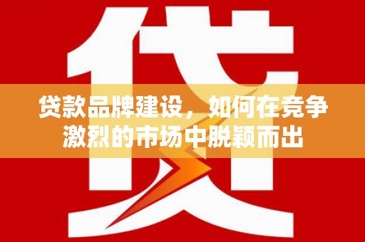 特克斯贷款品牌建设，如何在竞争激烈的市场中脱颖而出