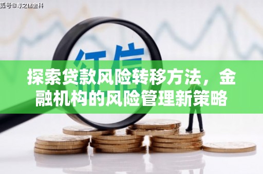 特克斯探索贷款风险转移方法，金融机构的风险管理新策略