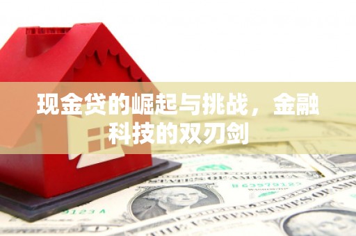 特克斯现金贷的崛起与挑战，金融科技的双刃剑