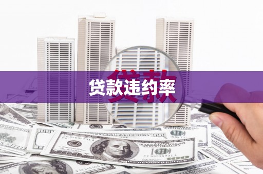 特克斯贷款违约率