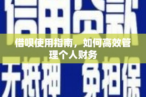 特克斯借呗使用指南，如何高效管理个人财务