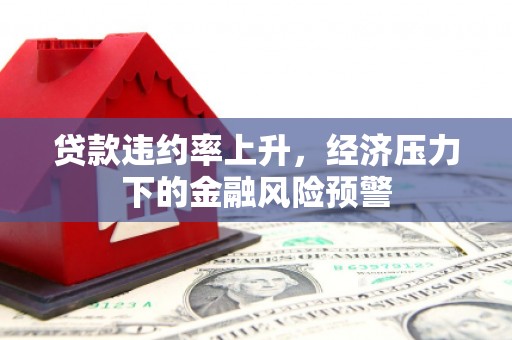 特克斯贷款违约率上升，经济压力下的金融风险预警