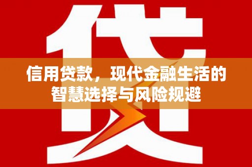特克斯信用贷款，现代金融生活的智慧选择与风险规避