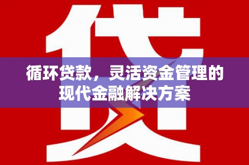 特克斯循环贷款，灵活资金管理的现代金融解决方案