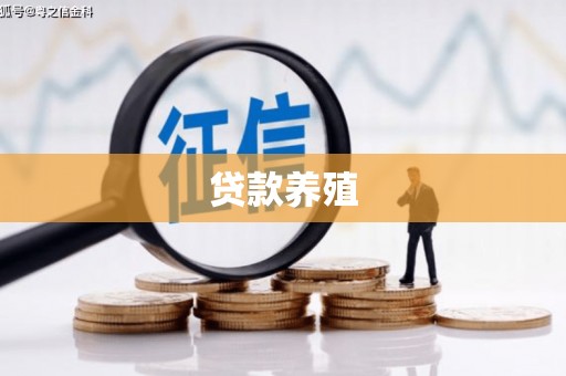 特克斯贷款养殖