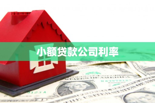 特克斯小额贷款公司利率