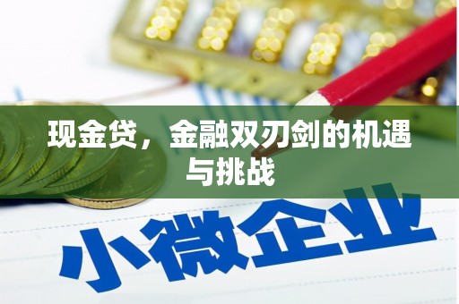 特克斯现金贷，金融双刃剑的机遇与挑战
