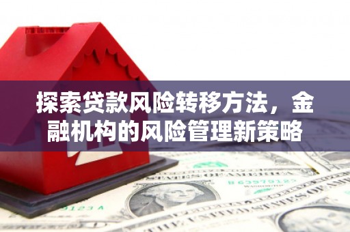 特克斯探索贷款风险转移方法，金融机构的风险管理新策略