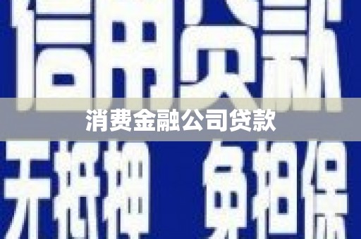 特克斯消费金融公司贷款
