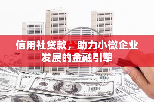 特克斯信用社贷款，助力小微企业发展的金融引擎