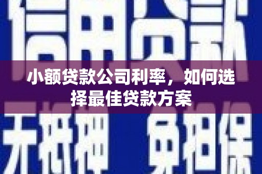 特克斯小额贷款公司利率，如何选择最佳贷款方案