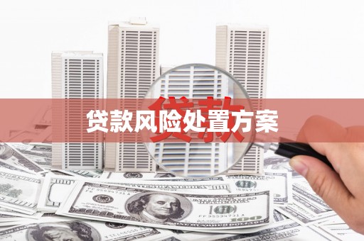 特克斯贷款风险处置方案