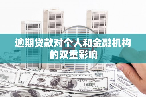 特克斯逾期贷款对个人和金融机构的双重影响