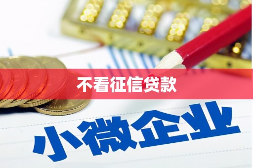 特克斯不看征信贷款