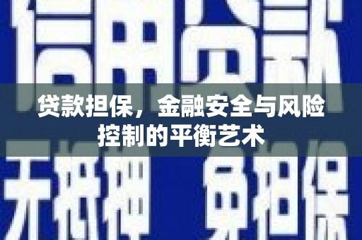 特克斯贷款担保，金融安全与风险控制的平衡艺术