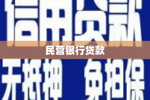 特克斯民营银行贷款