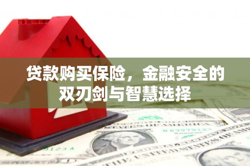 特克斯贷款购买保险，金融安全的双刃剑与智慧选择